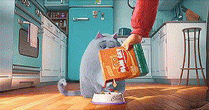 Chloe the cat from &quot;The Secret Life of Pets&quot; knocking over her kibble bowl