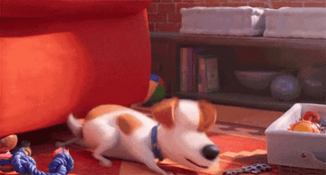 Max the dog looking very happy in &quot;The Secret Life of Pets&quot;