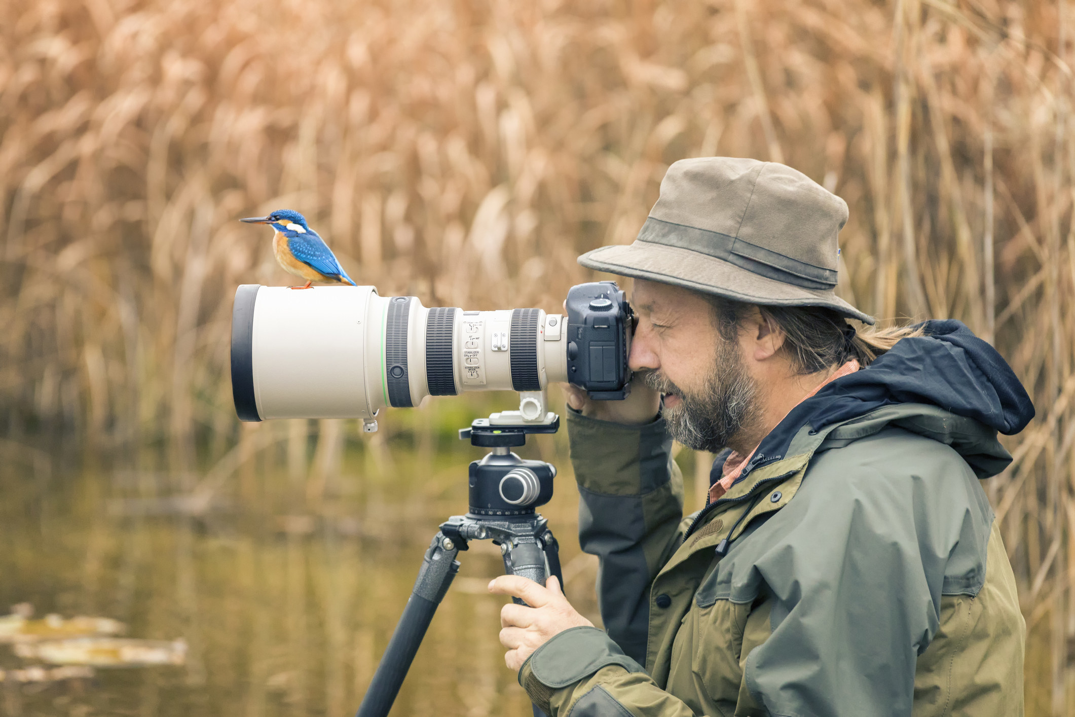 a birdwatcher using a large lens for photographing