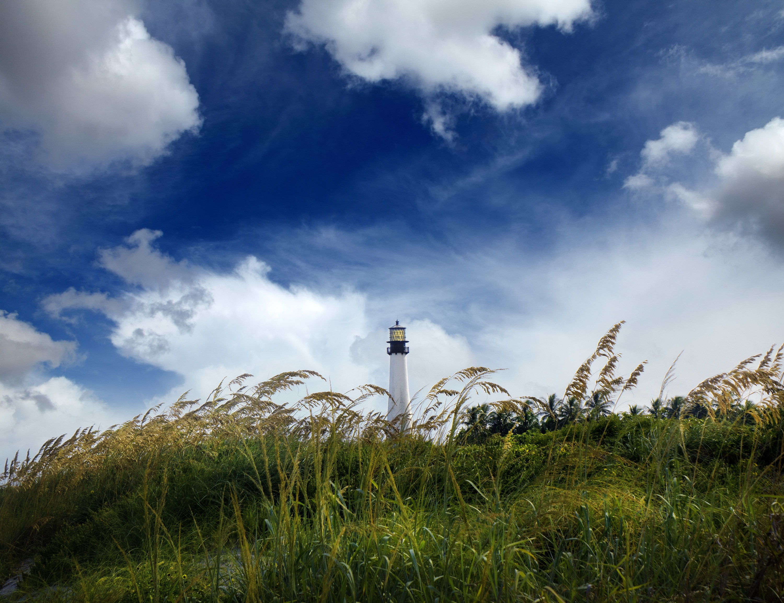 A lighthouse in front of a clear sky with high grass around