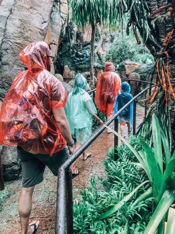reviewer's photo of the whole family wearing rain ponchos at Disney