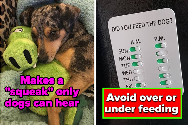 Just 31 Products To Make Raising Your Hap-Hap-Happy Dog A Little Easier thumbnail