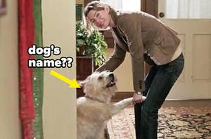 Meredith Grey and dog