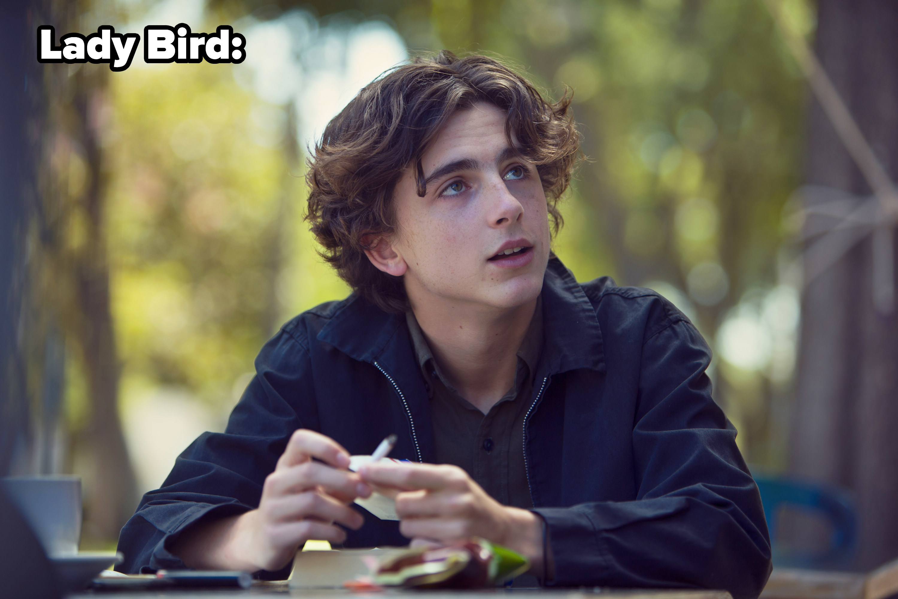 Timothee in Lady Bird