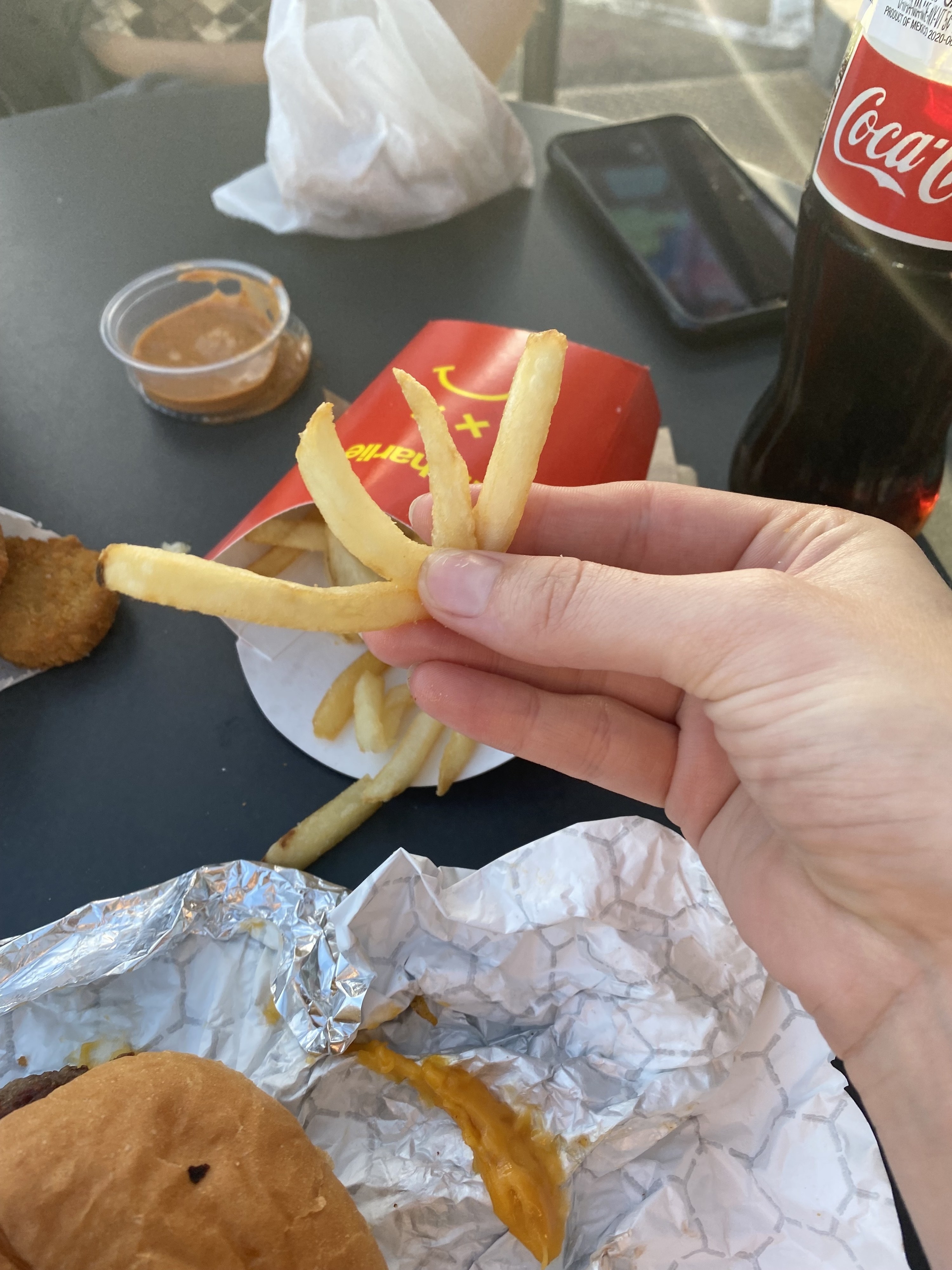 a few fries in the author&#x27;s hand