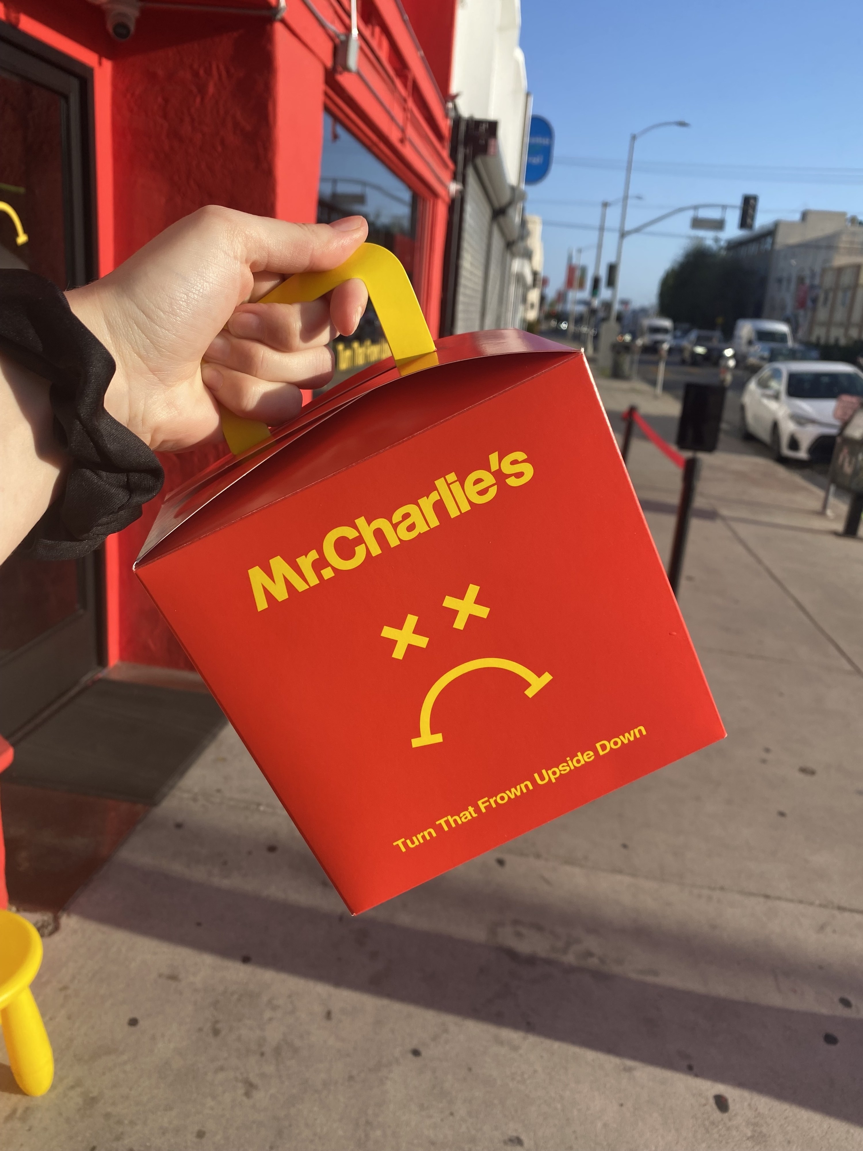 the author holding up the Frowny Box meal