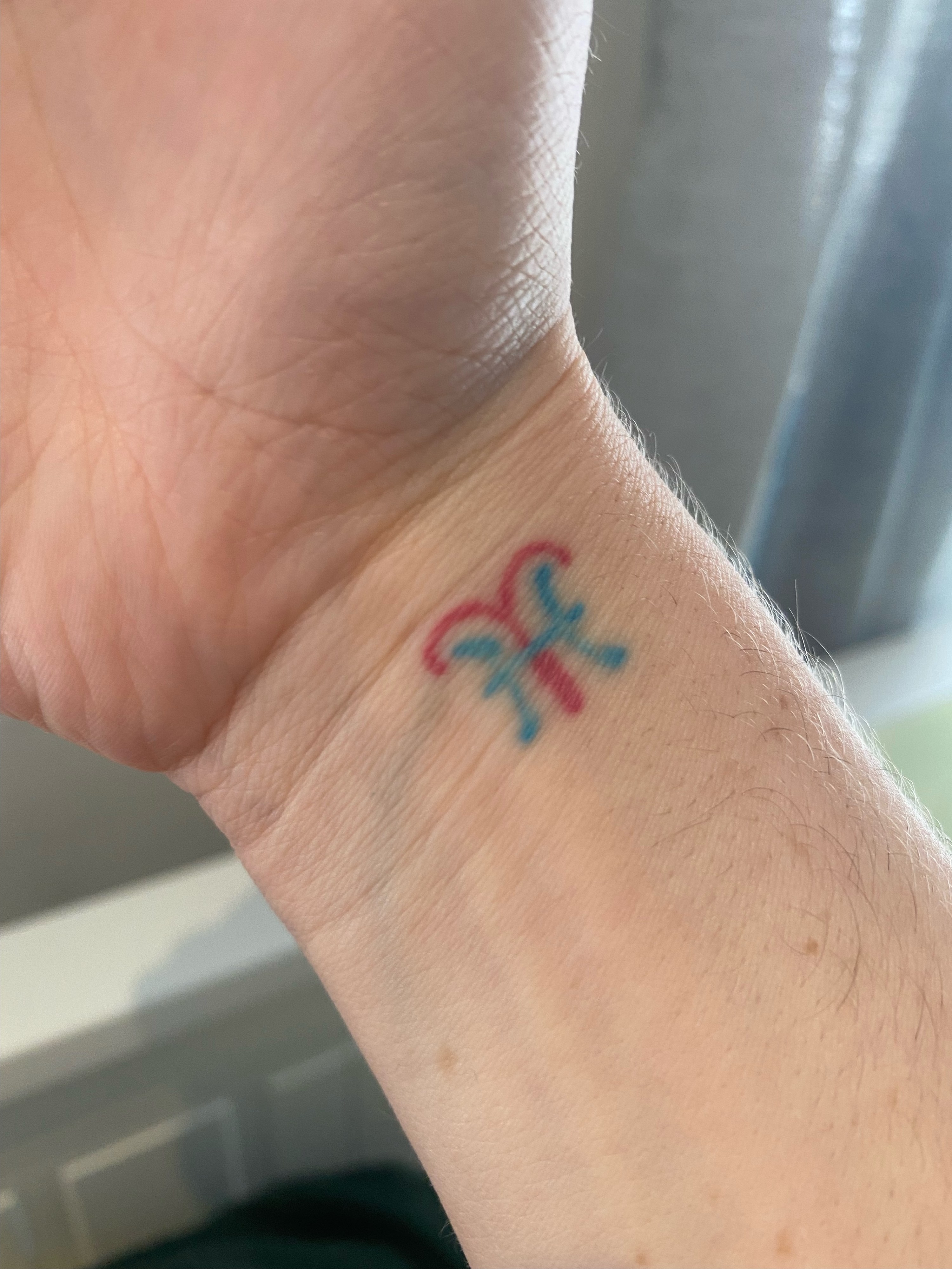 An astrological sign tattoo on someone&#x27;s inside wrist