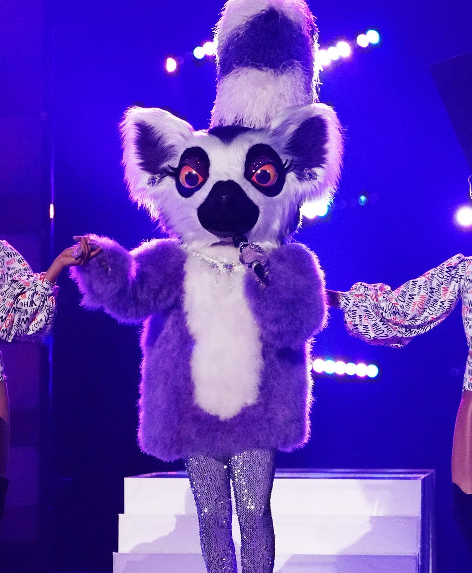 A lemur costume