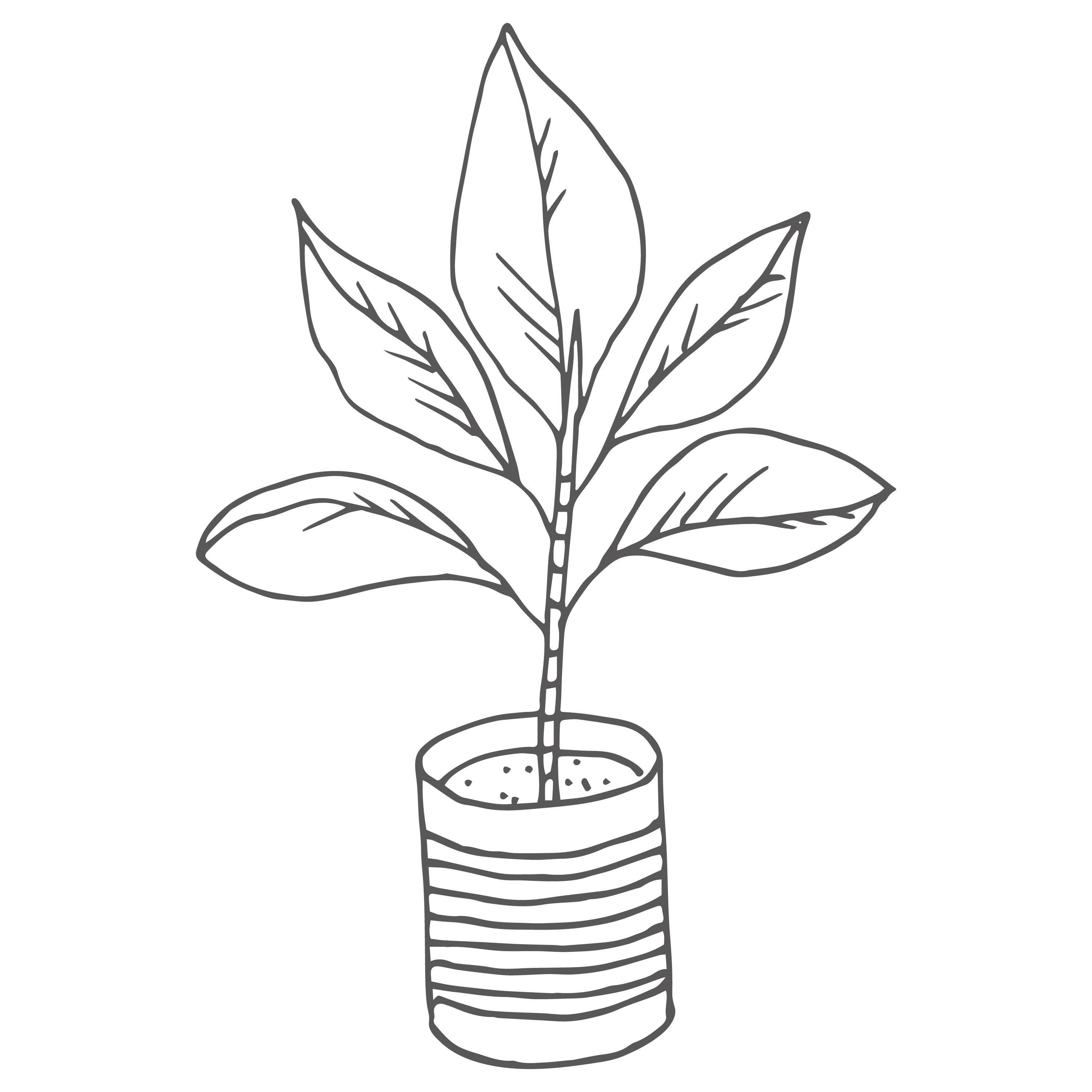 A potted plant design