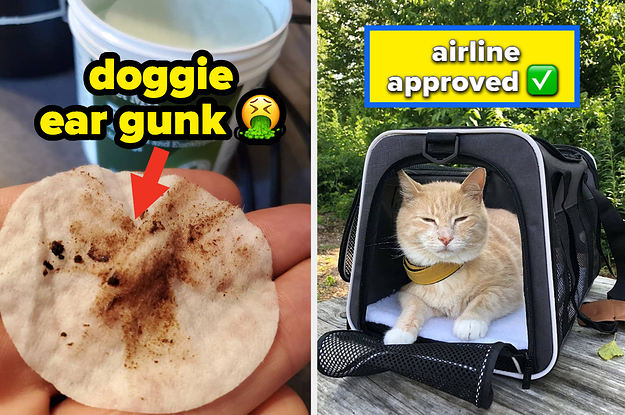 a reviewer holding a dirty pet ear wipe; a reviewer's cat in a carrier