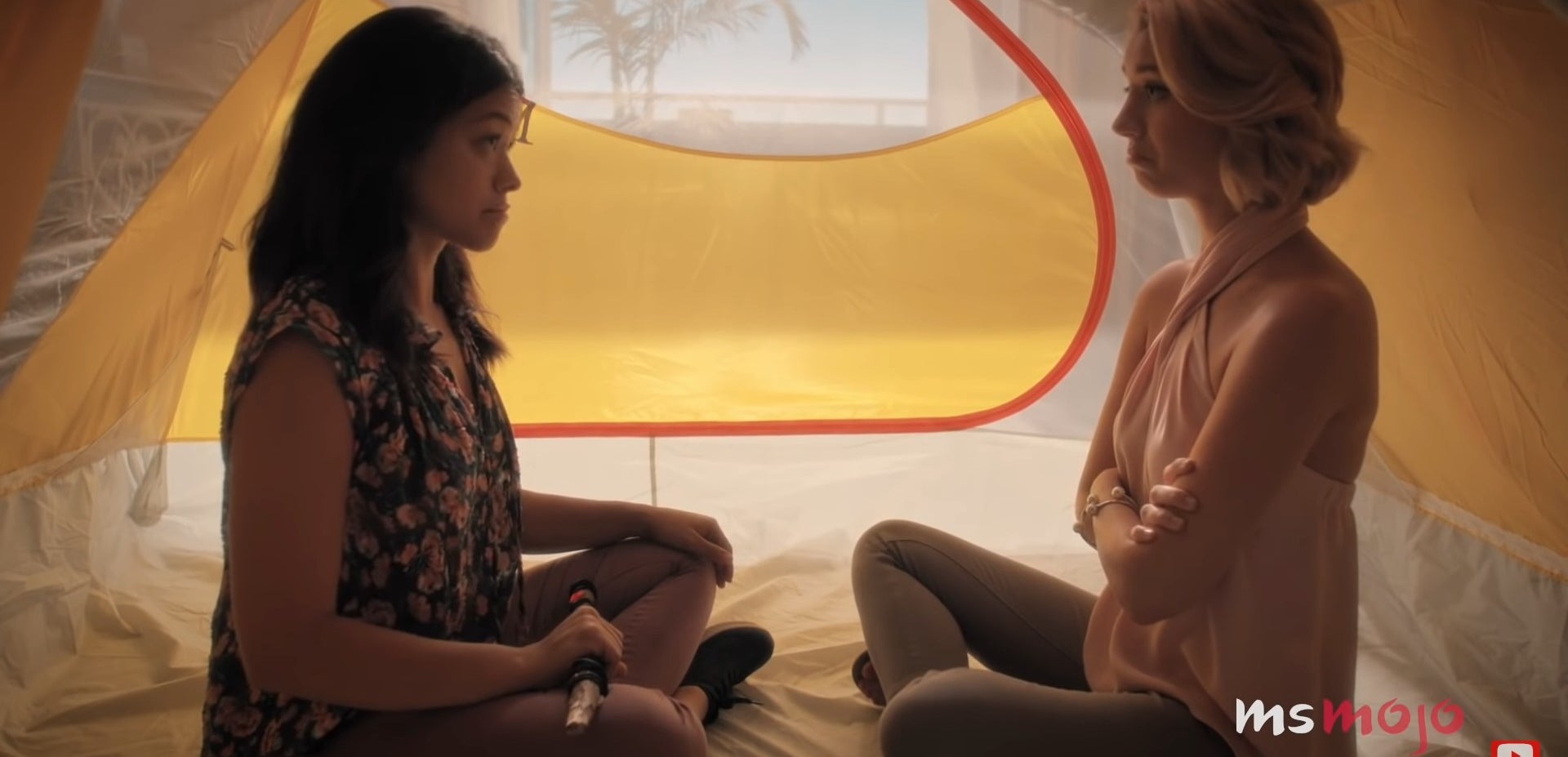 15 Iconic Petra Solano Moments