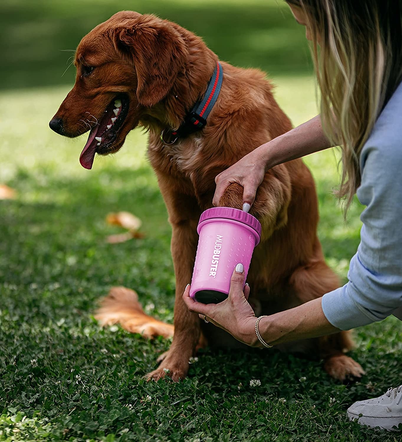 A person using the paw cleaner on their dog&#x27;s paw outside