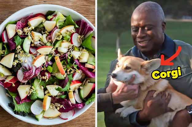 Build The Ultimate Salad And I'll Tell You Which Dog Breed Matches Your Personality
