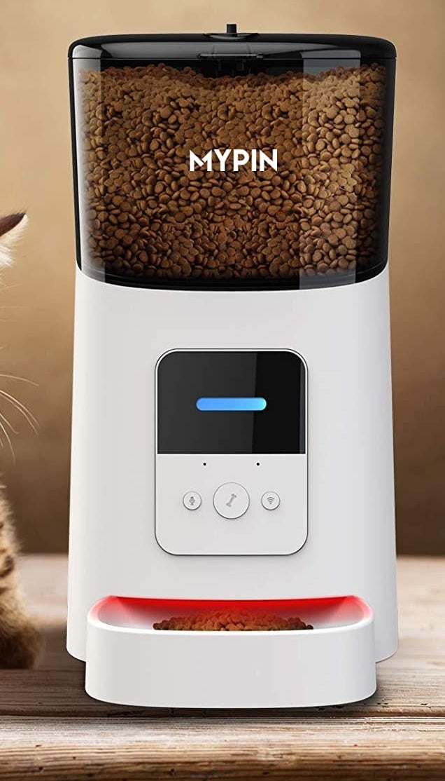 The food dispenser next to a cat