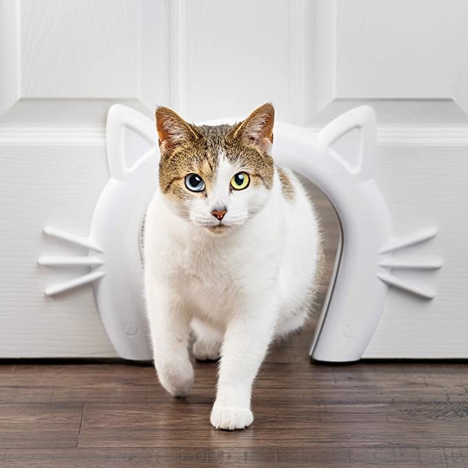 A cat walking through a cat-shaped opening in a door