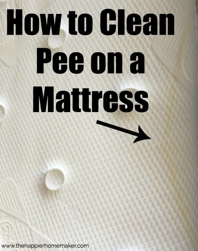 Blogger&#x27;s photo of urine stains on a mattress