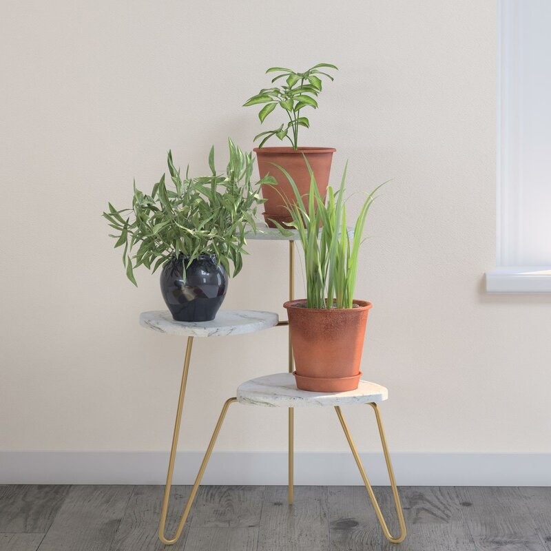 the plant stand