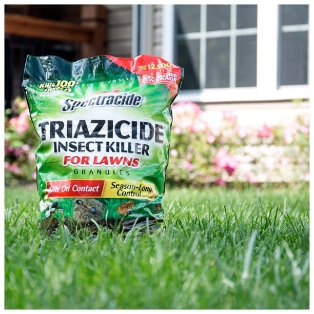 Bag of insect killer sitting on lawn
