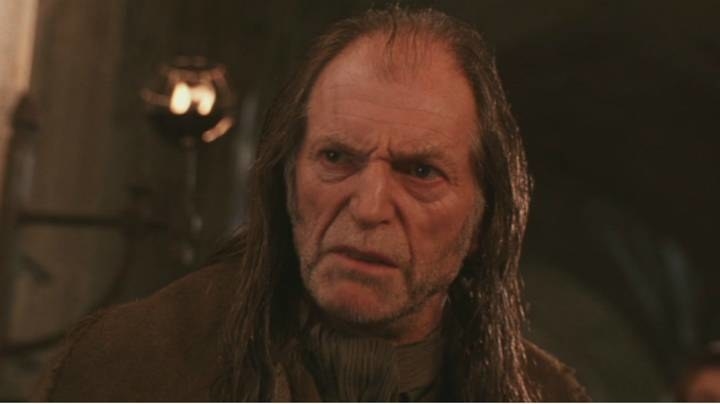 A closeup of a ratty-looking Argus Filch