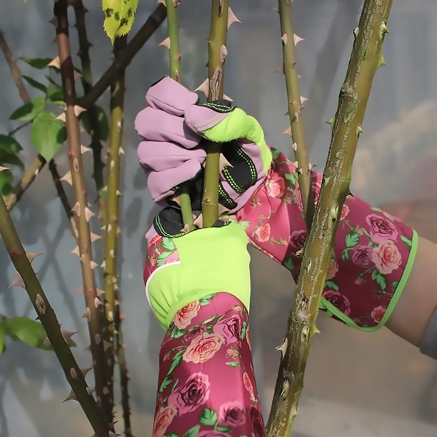 Rose pattern gloves gripping thorn bush