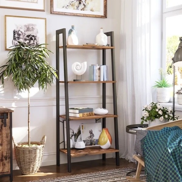 The bookshelf in a room next to a plant