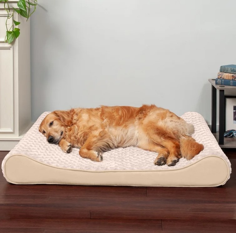 An image of a ergonomically-designed pet lounger that provides neck and back support