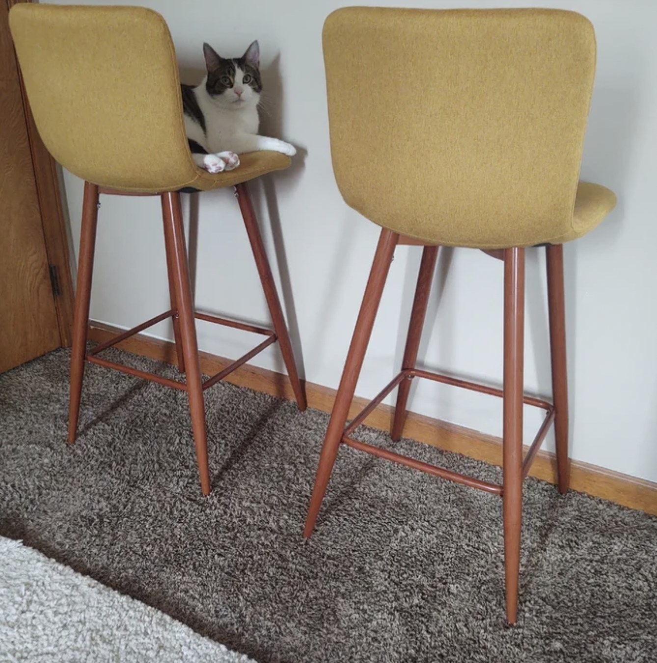 Two bar stools