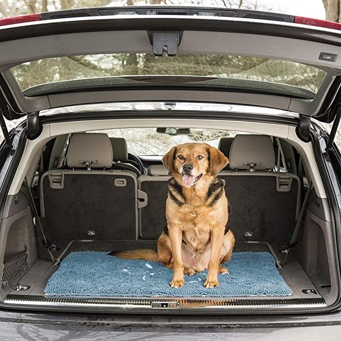 A dog sitting on a rug in the back of a car