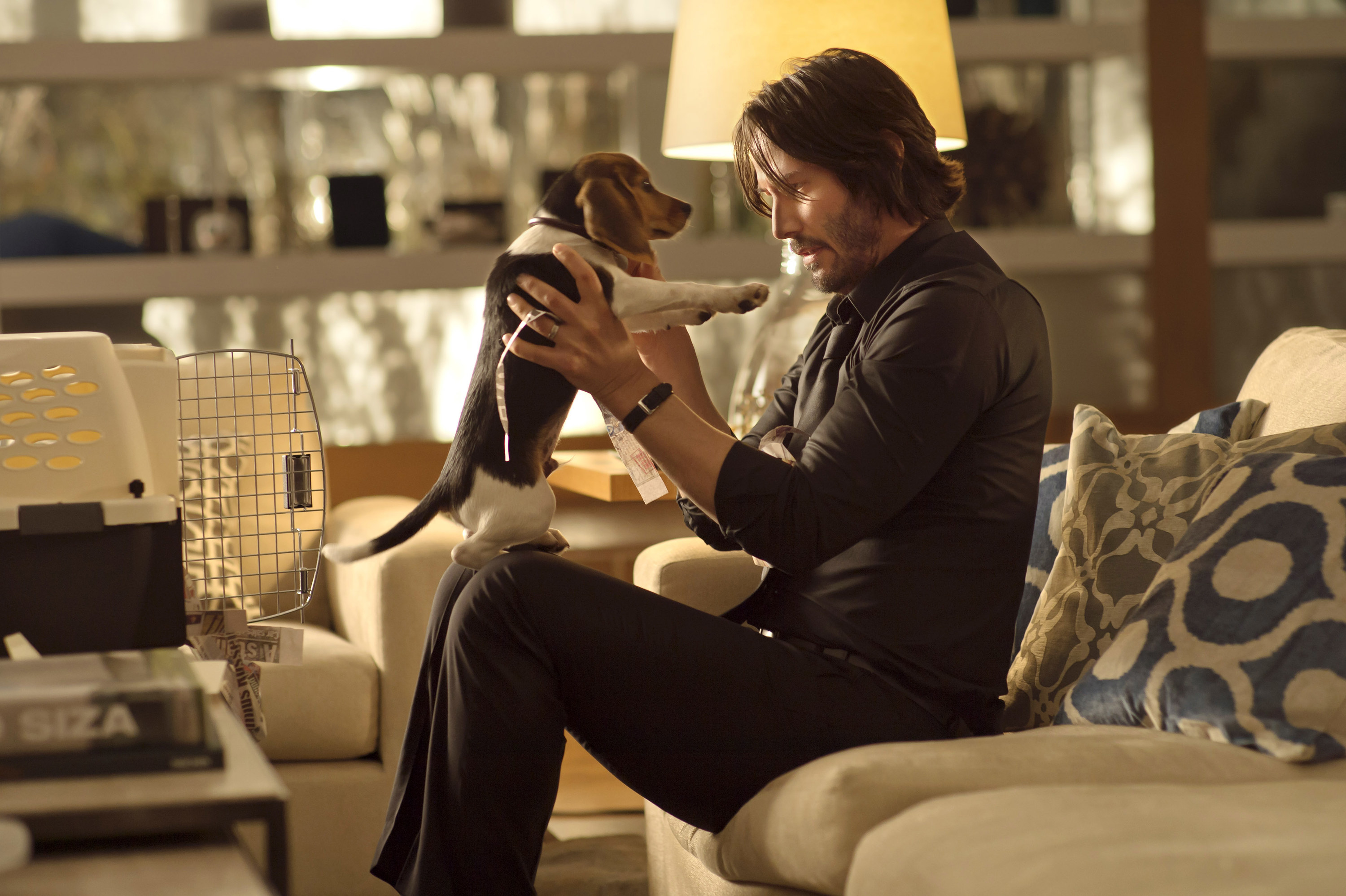 John Wick holding up a puppy while he sits on the couch
