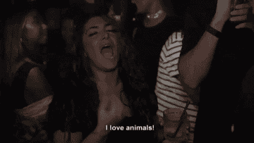 A gif of Deena from Jersey Shore saying &quot;I love animals, I hate people&quot;