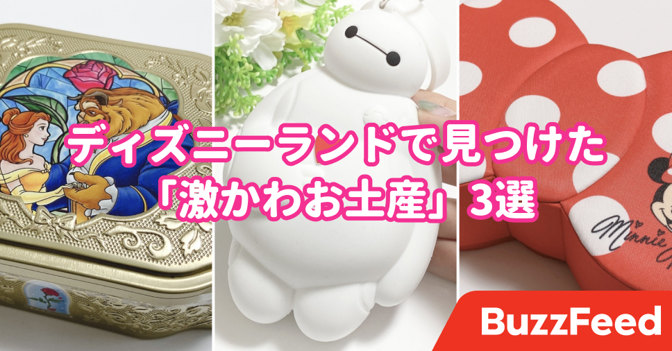 センスしかないわ ディズニーランドの 激かわお土産 一目惚れして買っちゃったよ