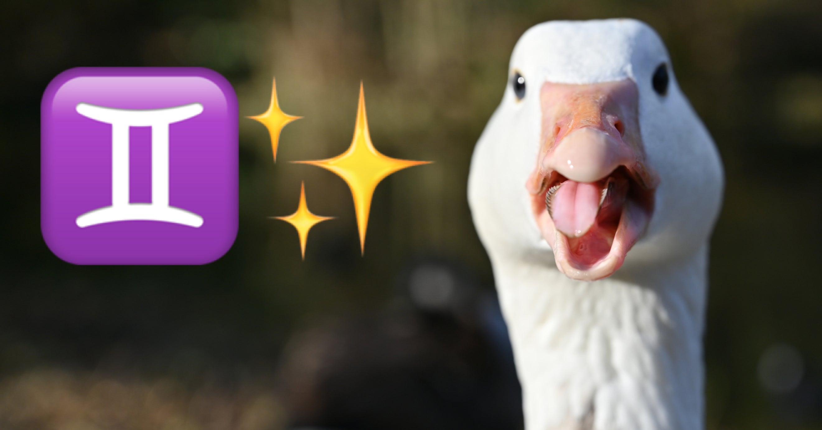 Create Your Perfect Life As A Duck To Reveal Your Zodiac Sign