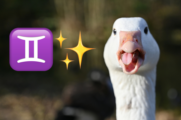 We Can Actually Guess Your Zodiac Sign Based On The Life You Create As A Duck