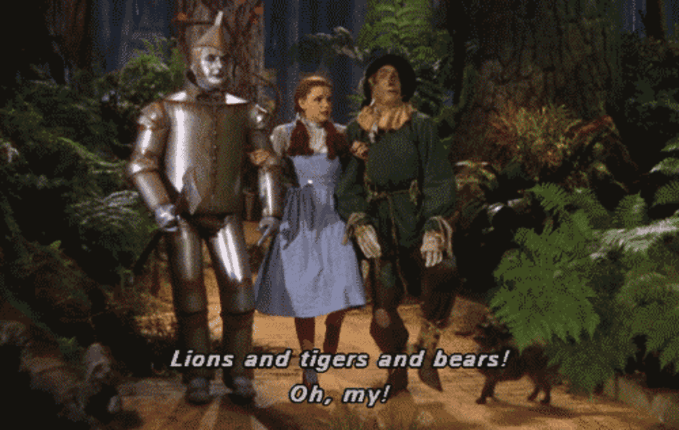 Dorothy with the tin man and scarecrow saying, &quot;Lions and tigers and bears! Oh, my!&quot;