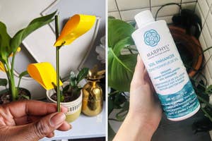 A person holding a bug trapping sticky tab on a small stake, A person holding a bottle of soil enhancer