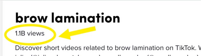 A screencap of the term &#x27;brow lamination&#x27; on TikTok showcasing 1.1B views