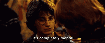 A GIF of Harry Potter saying &#x27;it&#x27;s completely mental&#x27;