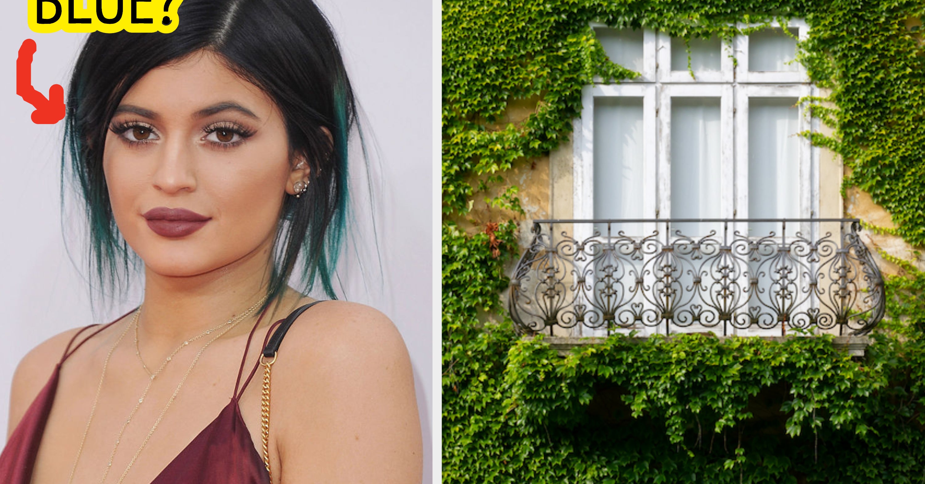 This Image Quiz Will Guess Your Hair Color