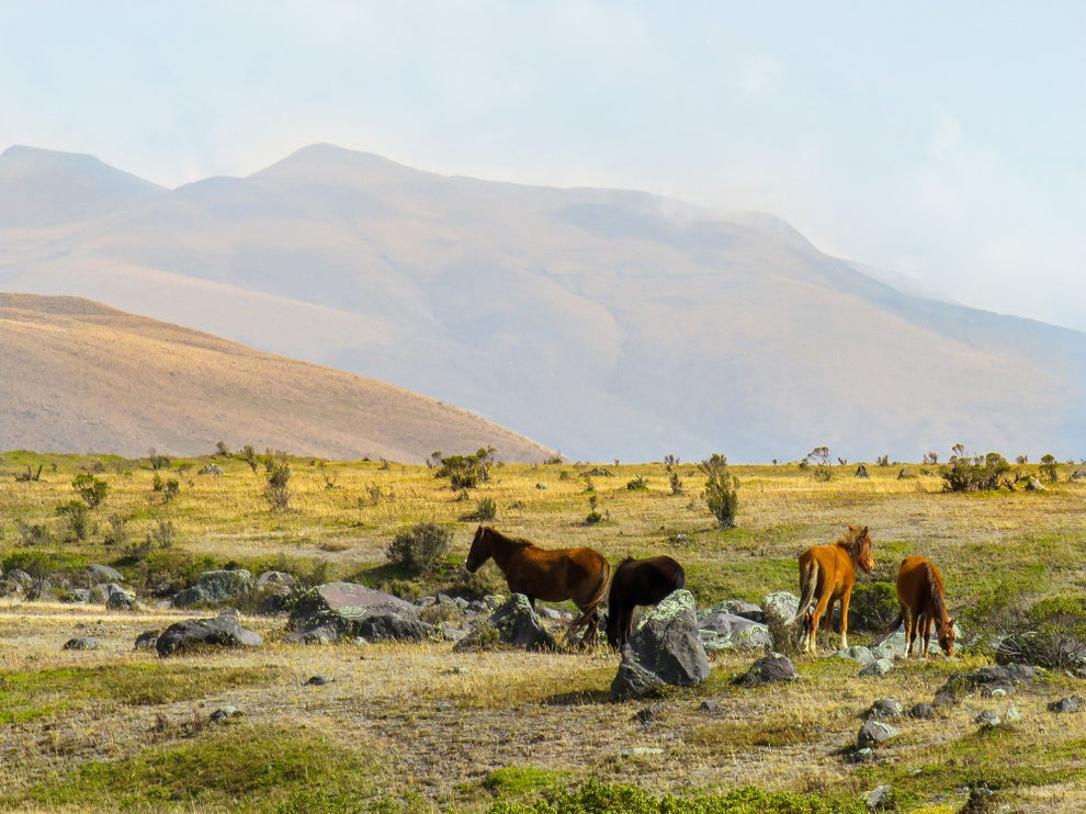 18 Surreal Places To Visit In Latin American Countries