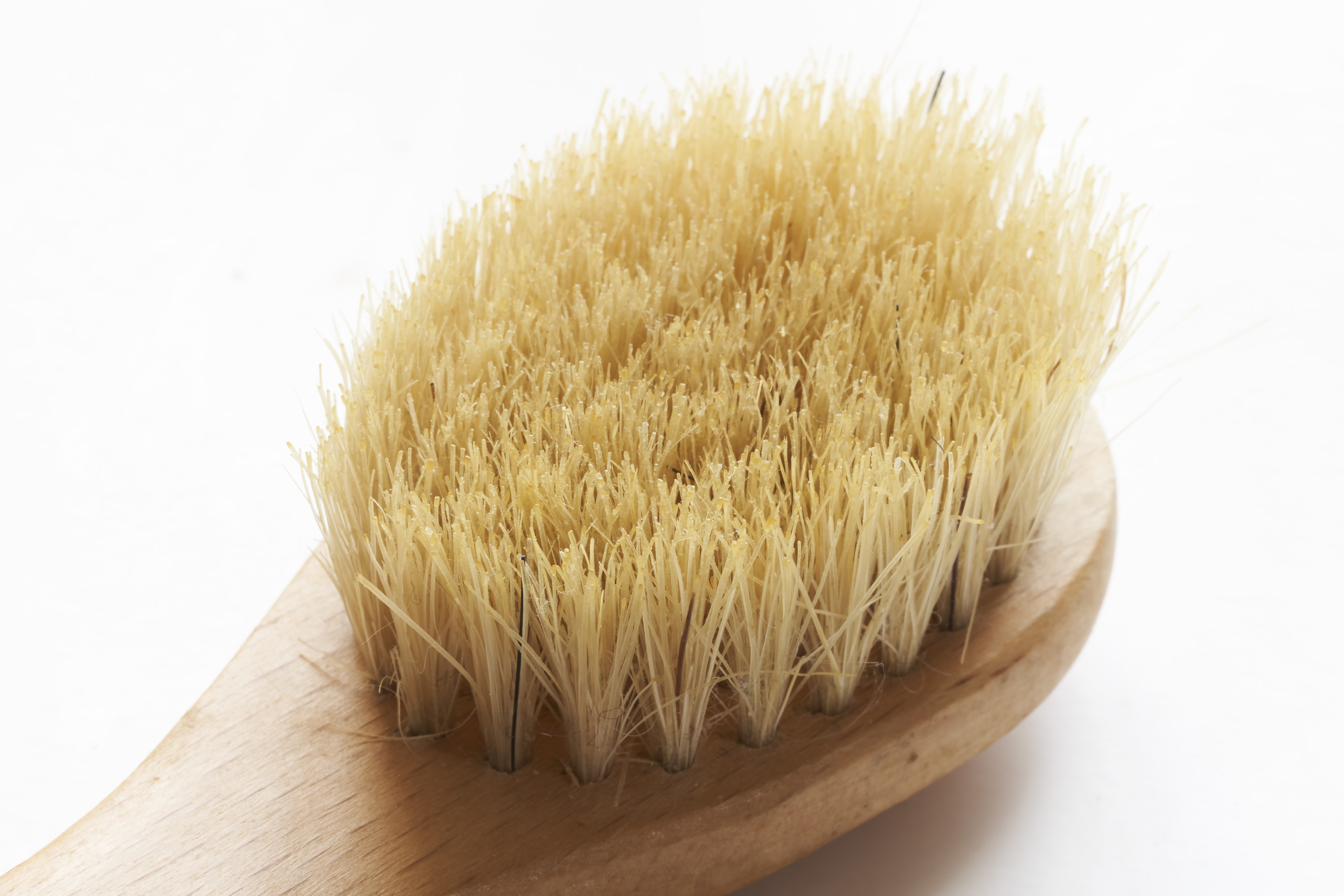 Up-close view of a brush isolated against white background