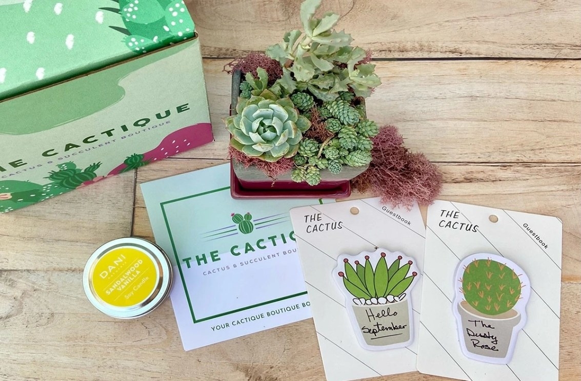 An image of items included in the Cratejoy cactique boutique box