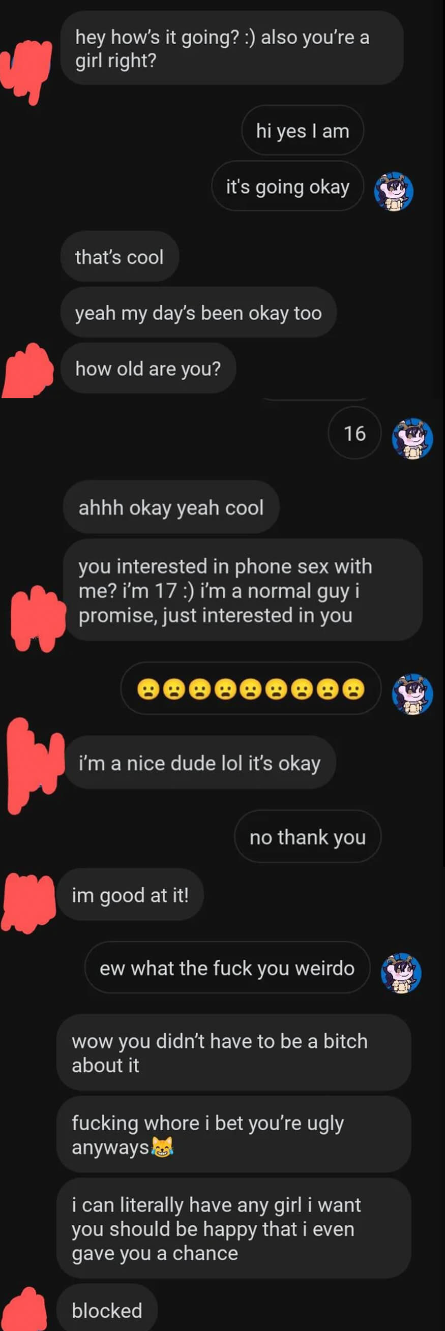 guy on reddit says hi to a girl and asks her age — she says 16 and he says he&#x27;s 17 then asks for phone sex, saying he&#x27;s good at it. she says no and he calls her a few swear insults and says she&#x27;s probably ugly