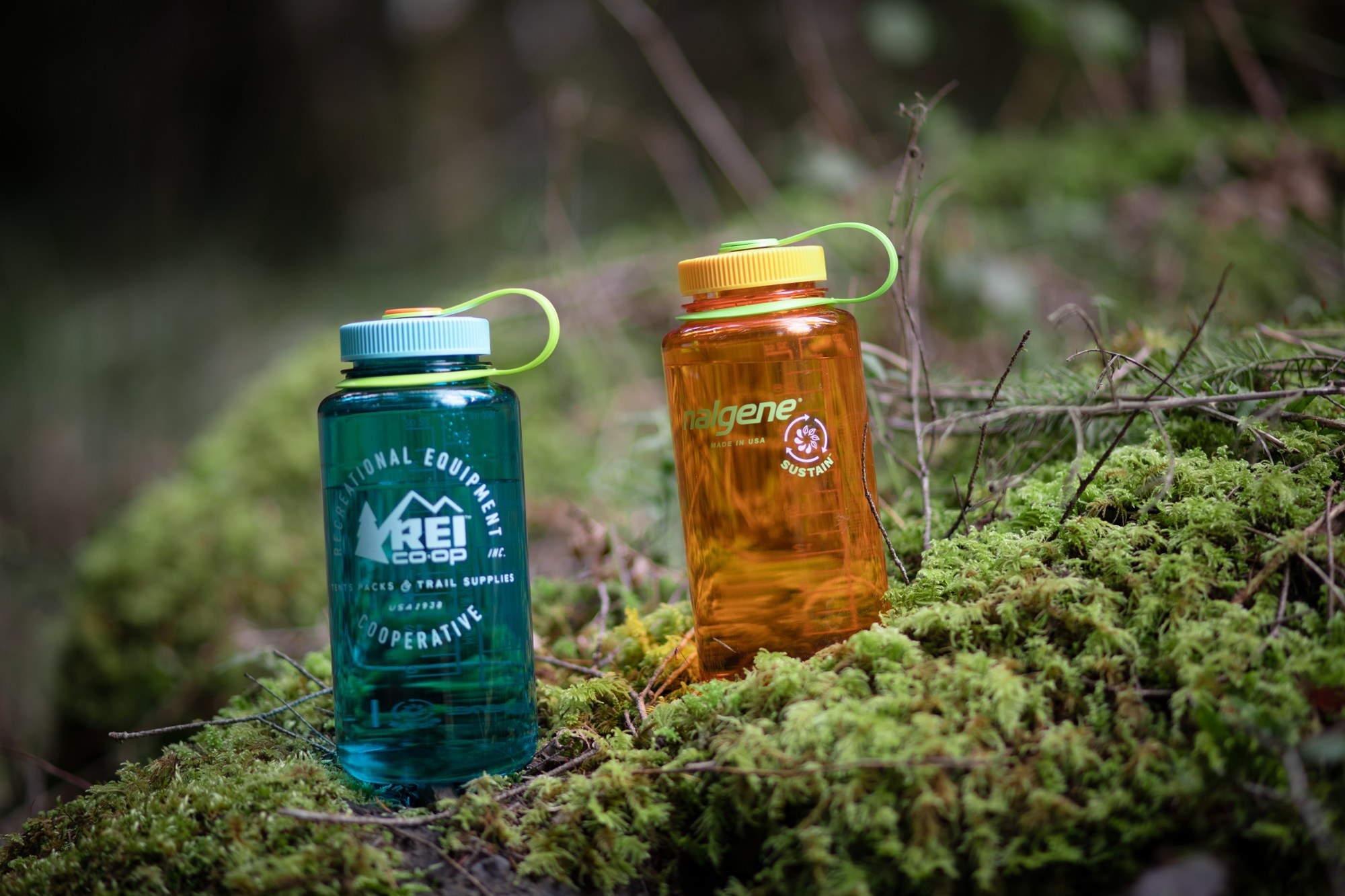 the blue and orange Nalgene water bottles perched on moss