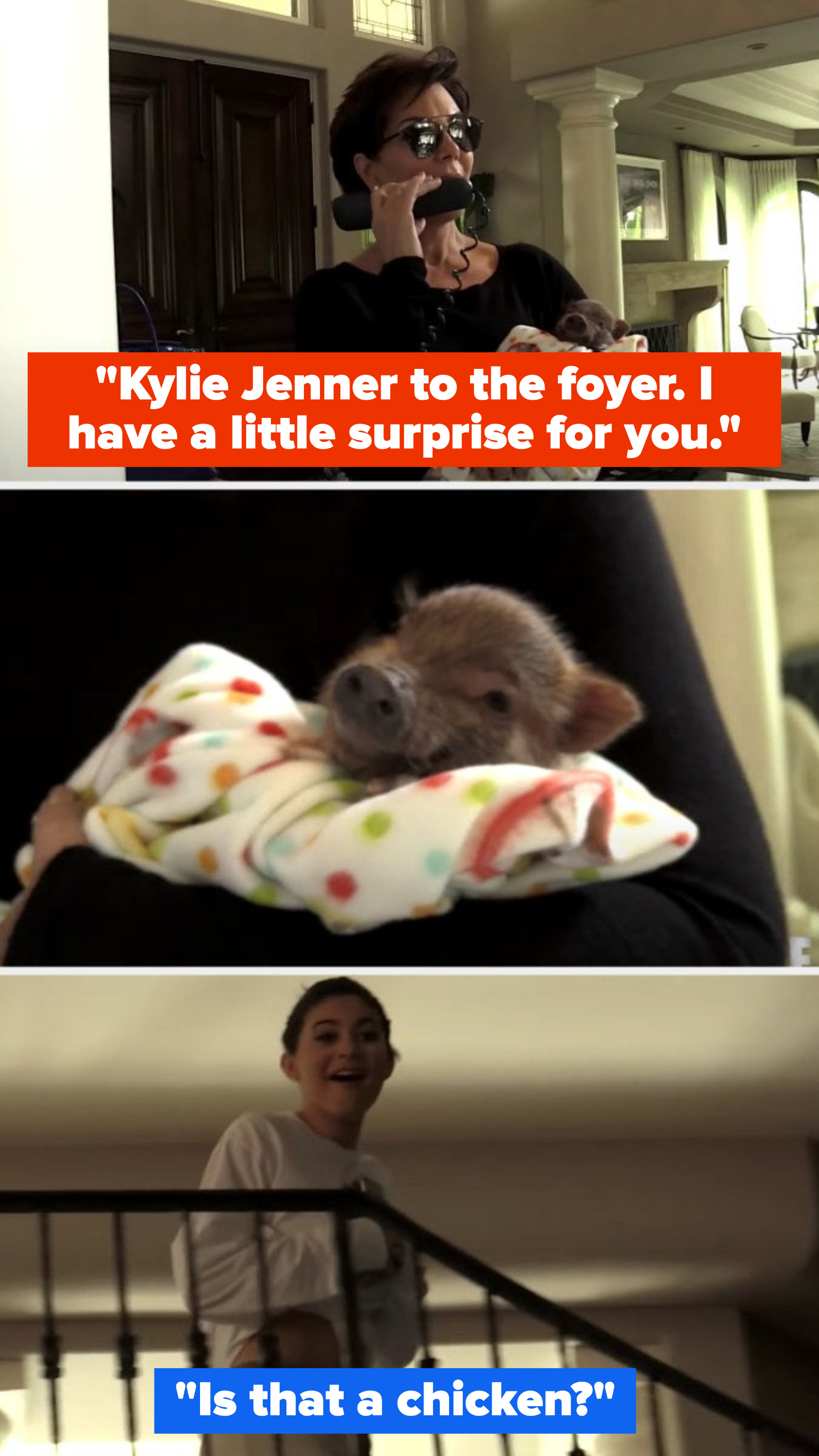 On Keeping Up With the Kardashians, Kris pages Kylie down, saying she has a surprise. In her arms, she holds a baby pig. Kylie comes to the stairs and says &quot;Is that a chicken?&quot;