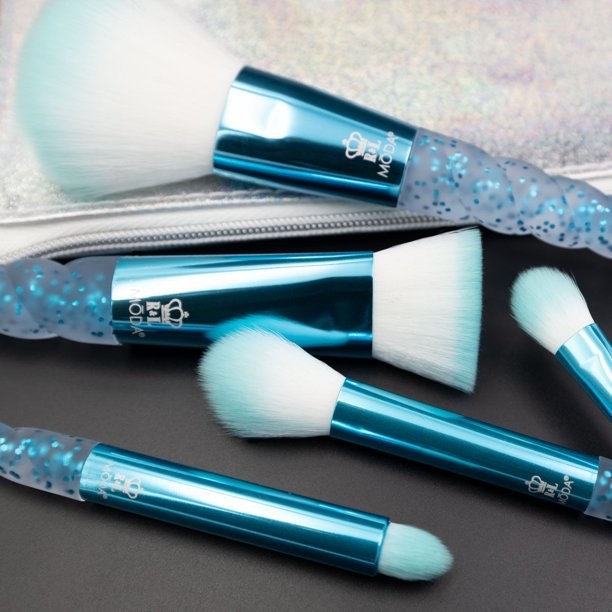 the set of blue brushes with carrying bag