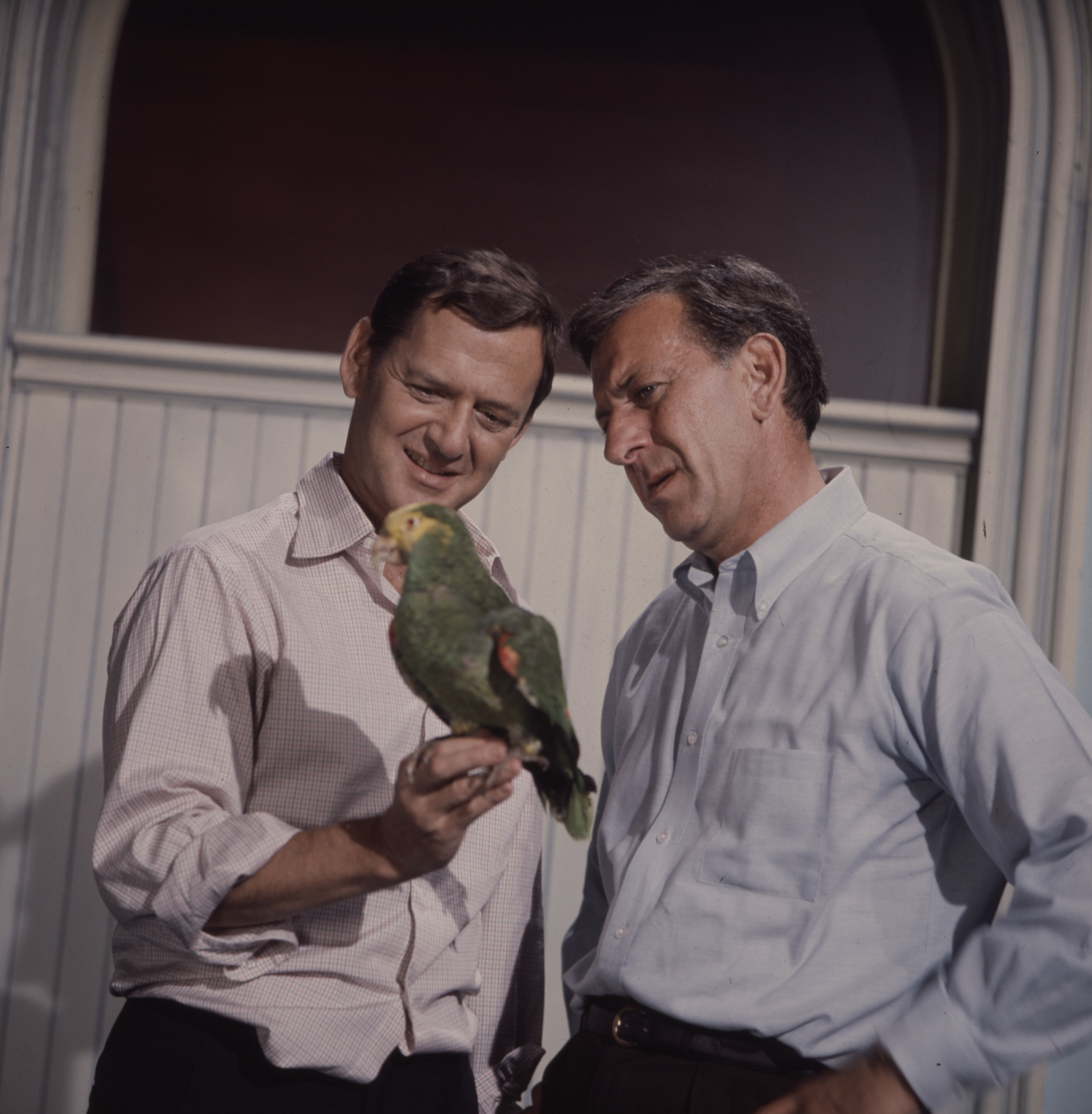 A promotional photo for The Odd Couple, which shows the lead actors staring at a bird