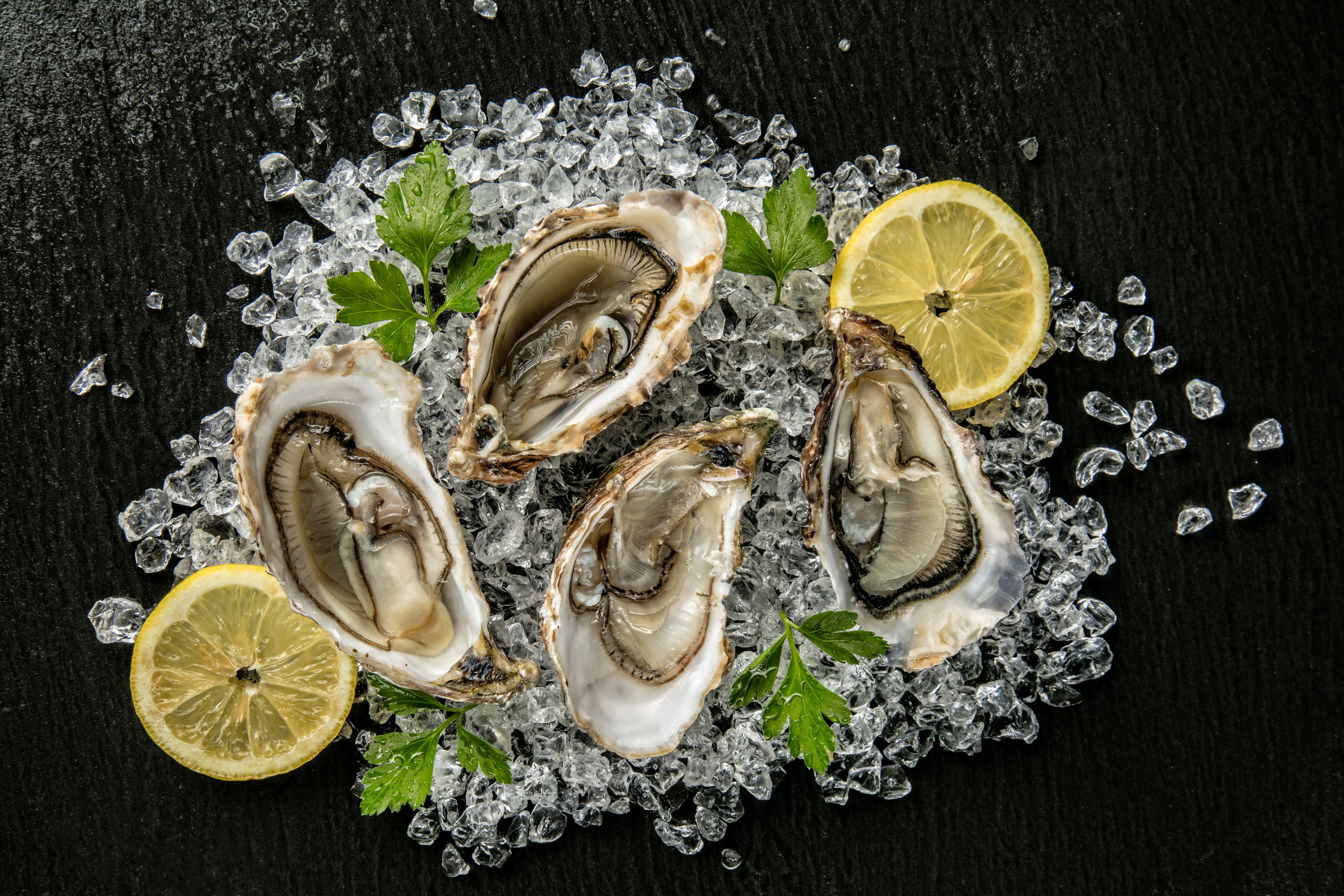 Oysters on ice with lemons