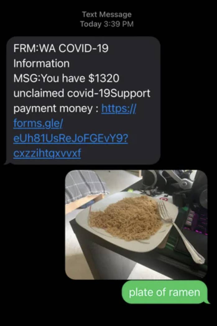 a scam text that someone responded to with a photo of their plate of ramen