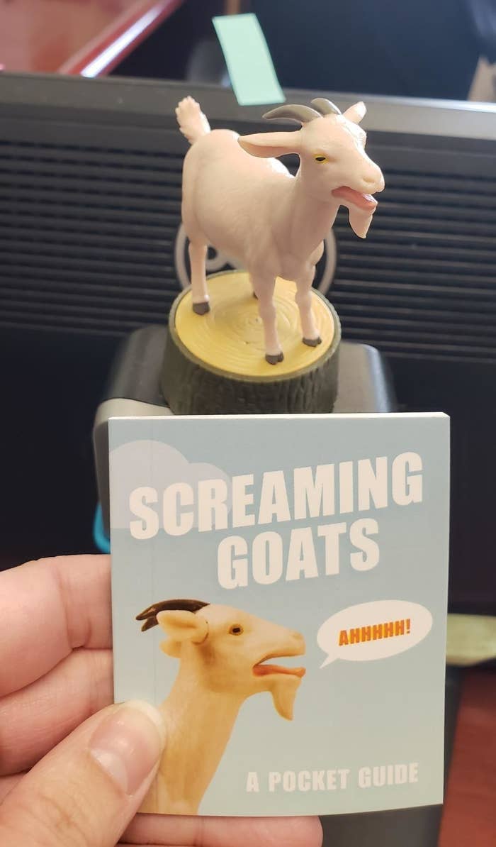 reviewer photo of the screaming goat toy and its pocket guide