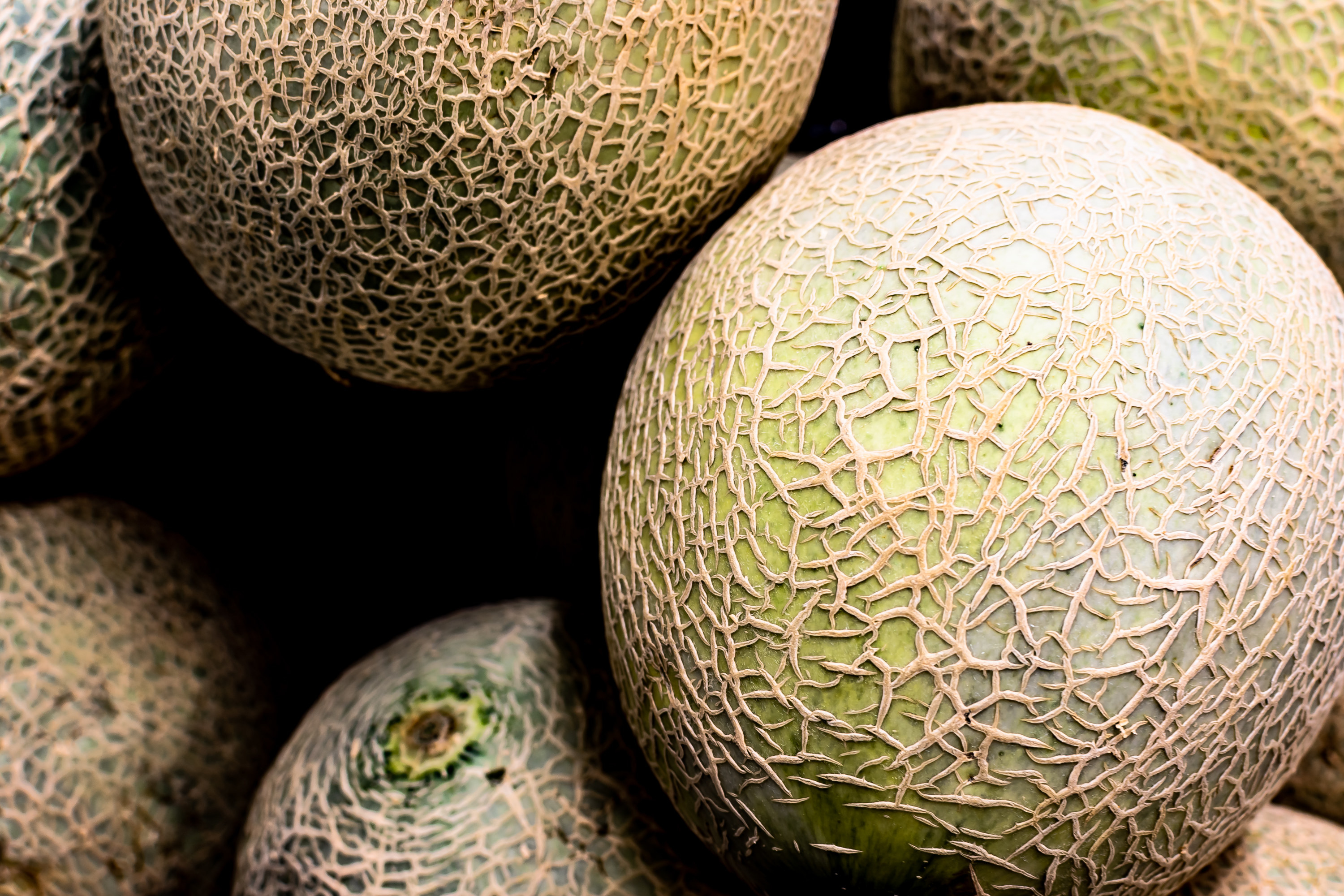 Canteloupe melons